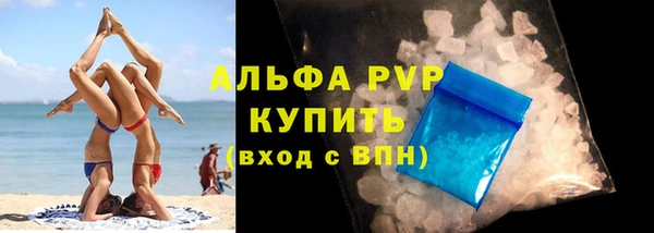 ECSTASY Белокуриха