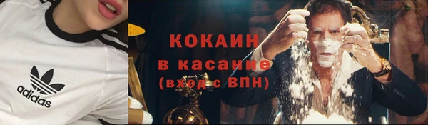 ECSTASY Белокуриха