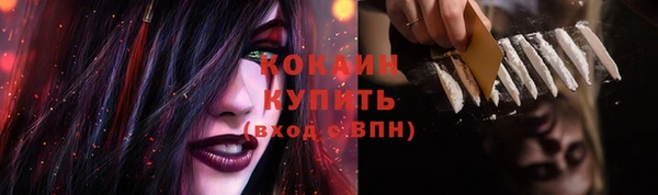 ECSTASY Белокуриха