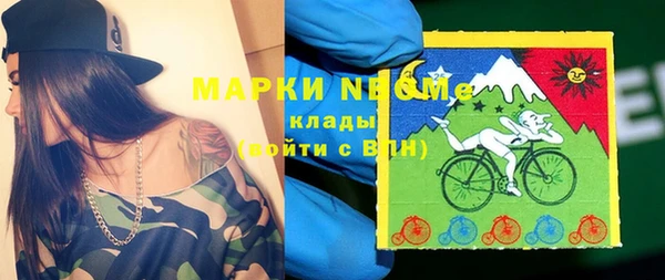 ECSTASY Белокуриха