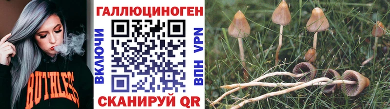 Галлюциногенные грибы ЛСД  Купить  Лагань 