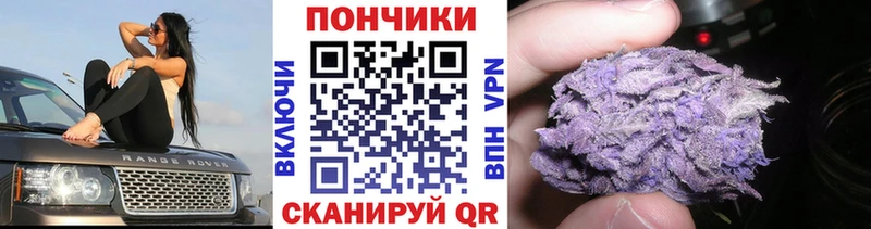 Бошки марихуана MAZAR  Купить где  Лагань 
